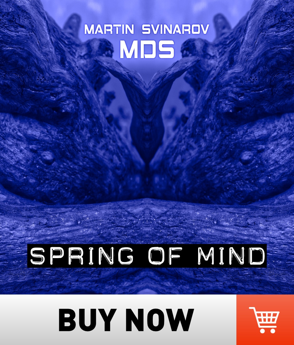 Martin Svinarov MDS: Spring of Minds